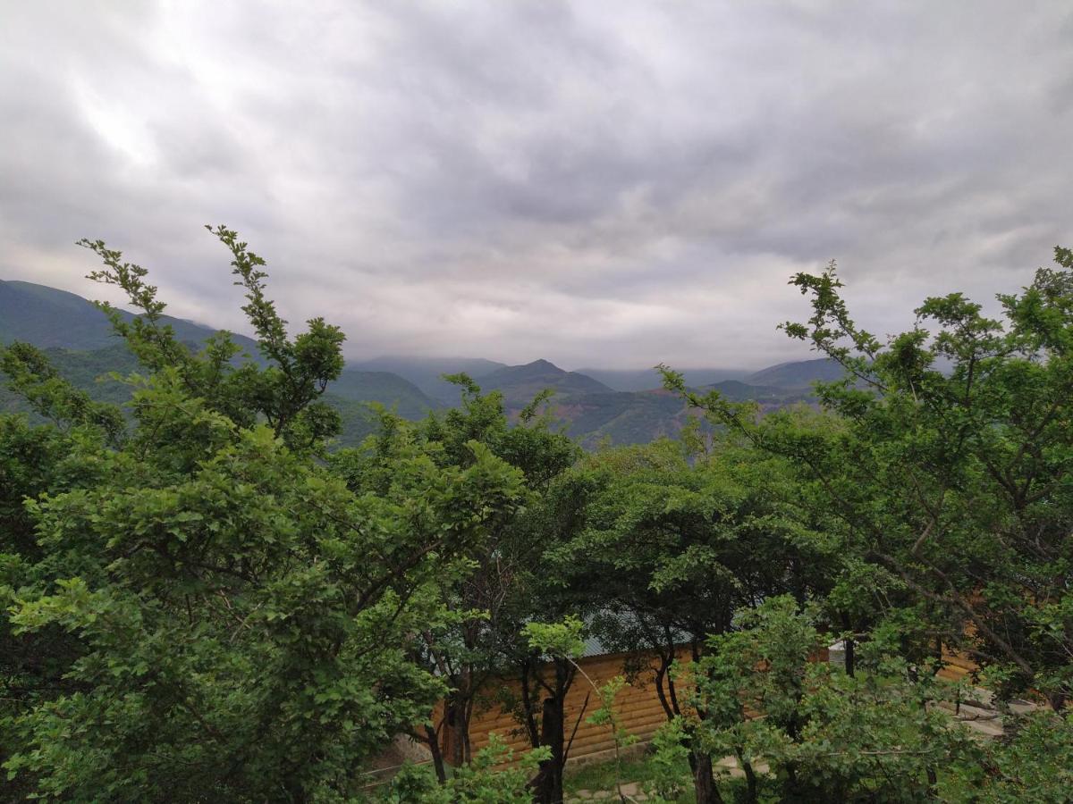 Old Halidzor Villa Екстериор снимка