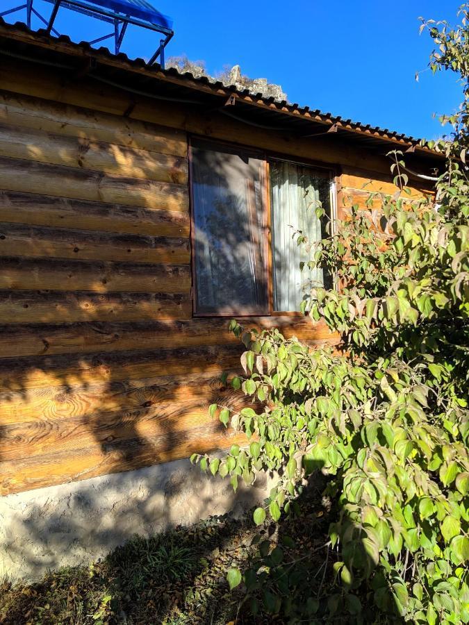 Old Halidzor Villa Екстериор снимка